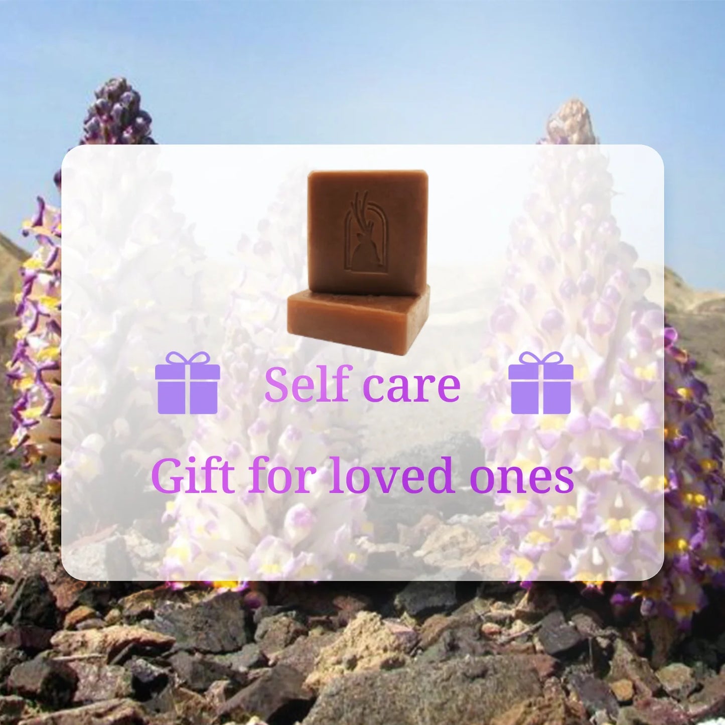 Moisturized Skin Bar Soap, Herbal Soap Infused with Tibetan Natural Cistanche Deserticola Extract and Sodium Hyaluronate - PrimeandBeauty