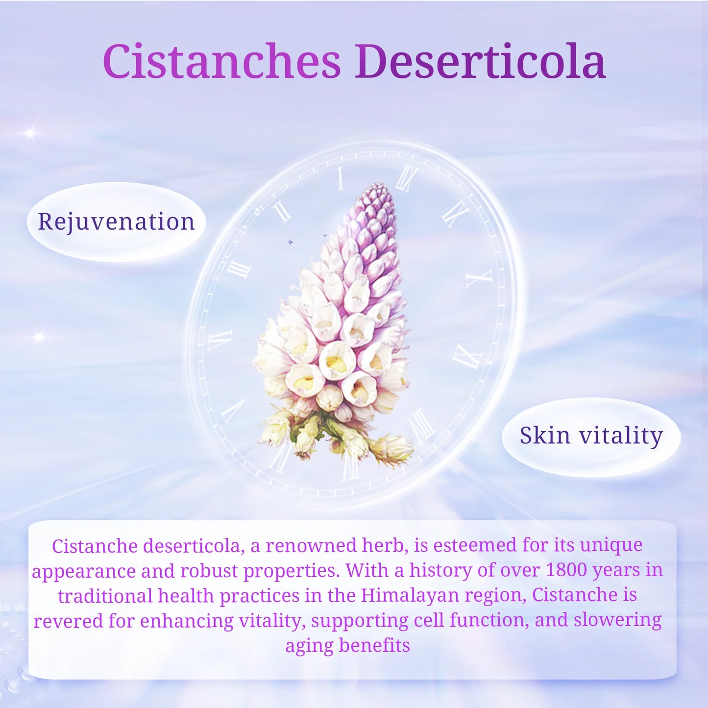 Moisturized Skin Bar Soap, Herbal Soap Infused with Tibetan Natural Cistanche Deserticola Extract and Sodium Hyaluronate - PrimeandBeauty
