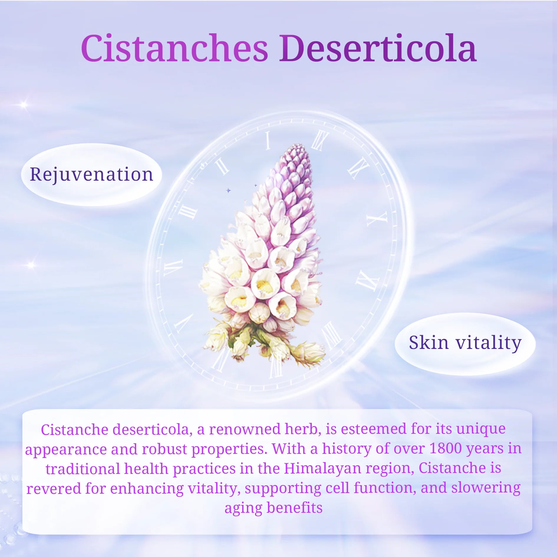 Moisturized Skin Bar Soap, Herbal Soap Infused with Tibetan Natural Cistanche Deserticola Extract and Sodium Hyaluronate - PrimeandBeauty