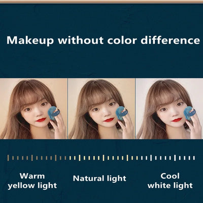 New LED Lighted Cosmetic Case with Mirror Waterproof PU Leather Portable Travel Makeup Storage Bags - PrimeandBeauty