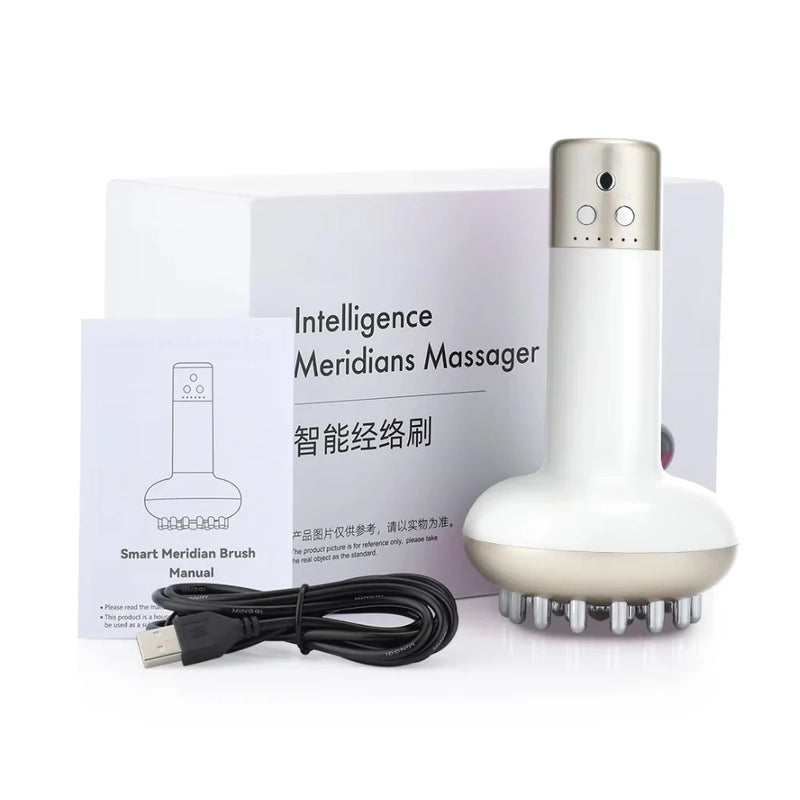 Rechargeable Guasha Massager Body Shaping Heating Meridian Scraping Brush Lymphatic Detoxification Regimen Dredging Fat Burner - PrimeandBeauty